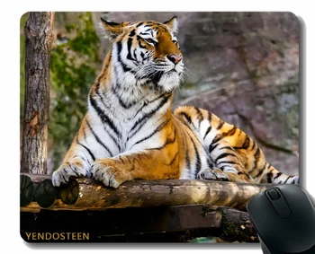 Персонализированный коврик для мыши, лежащий тигровый хищник Big Cat 112424 Коврик для мыши с прошитым краем